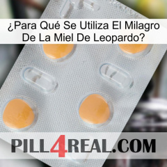 ¿Para Qué Se Utiliza El Milagro De La Miel De Leopardo 24